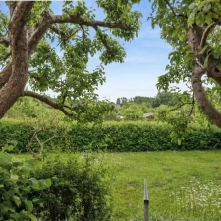 شقة Urlaub Im Herzen Wismars 2og - *